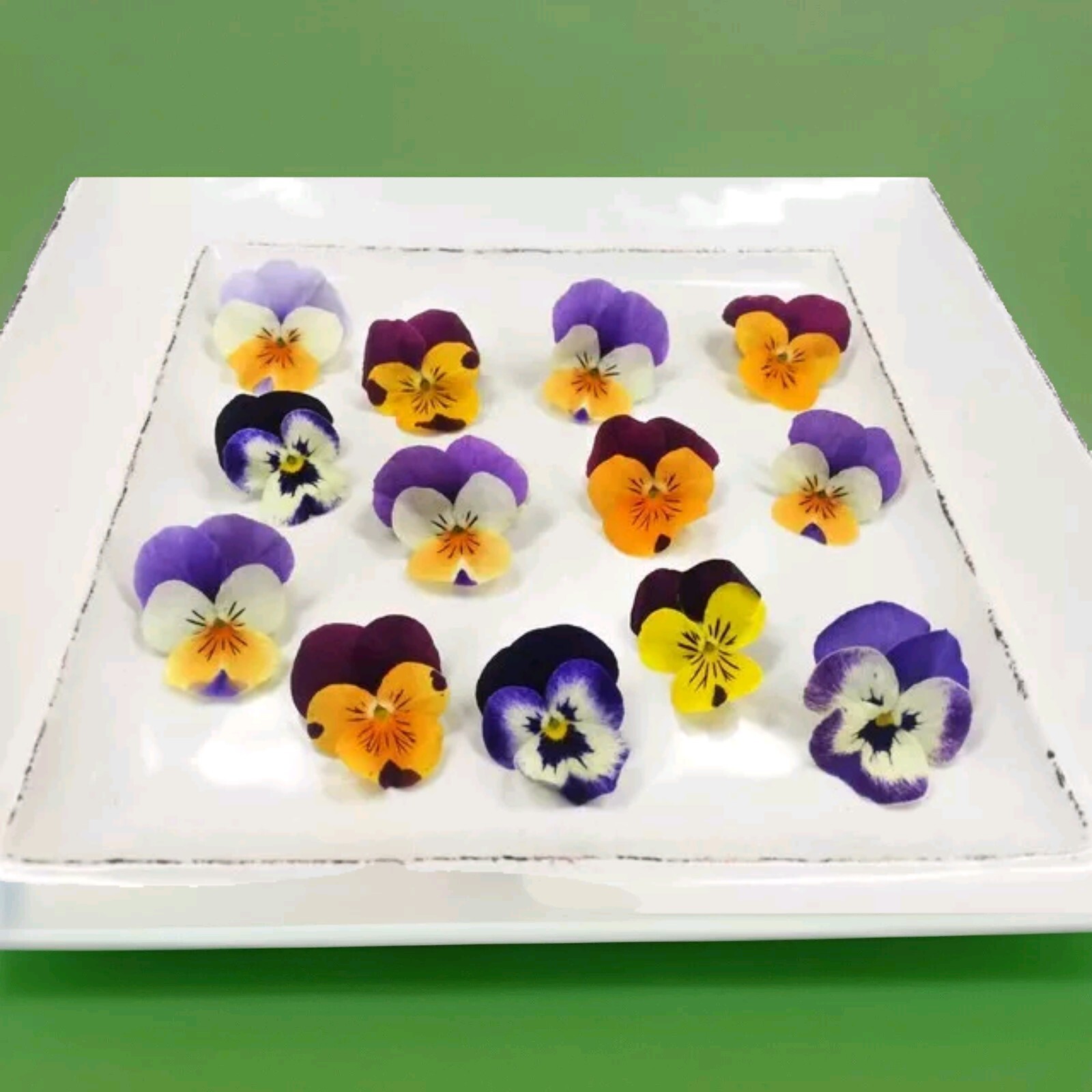 Fresh Edible/Garnish Flowers Pastel Violas Free Overnight Ship WEDNESDAYS