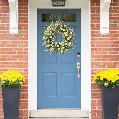 Daisy Wreath 24 Inch with Fake Silk Floral Green Eucalyptus Leaves and White