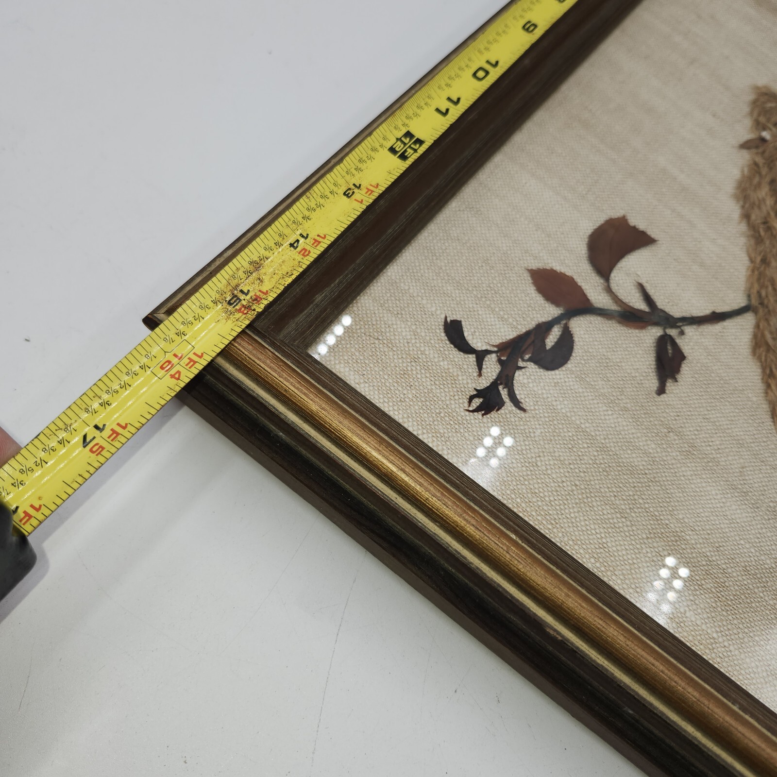 Vintage dried pressed flowers weeds taxidermy wall art bird 14 x 16 wood frame