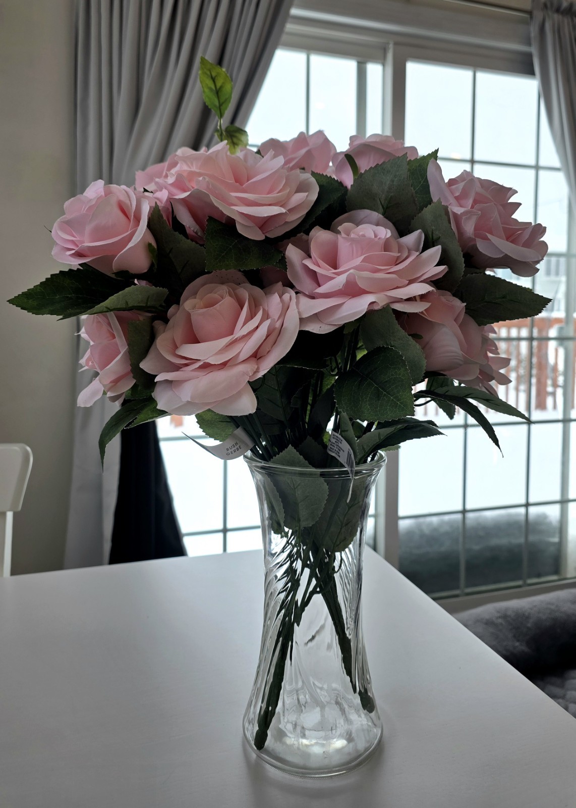 Ashland Rose Bush *Preowned, Gorgeous*
