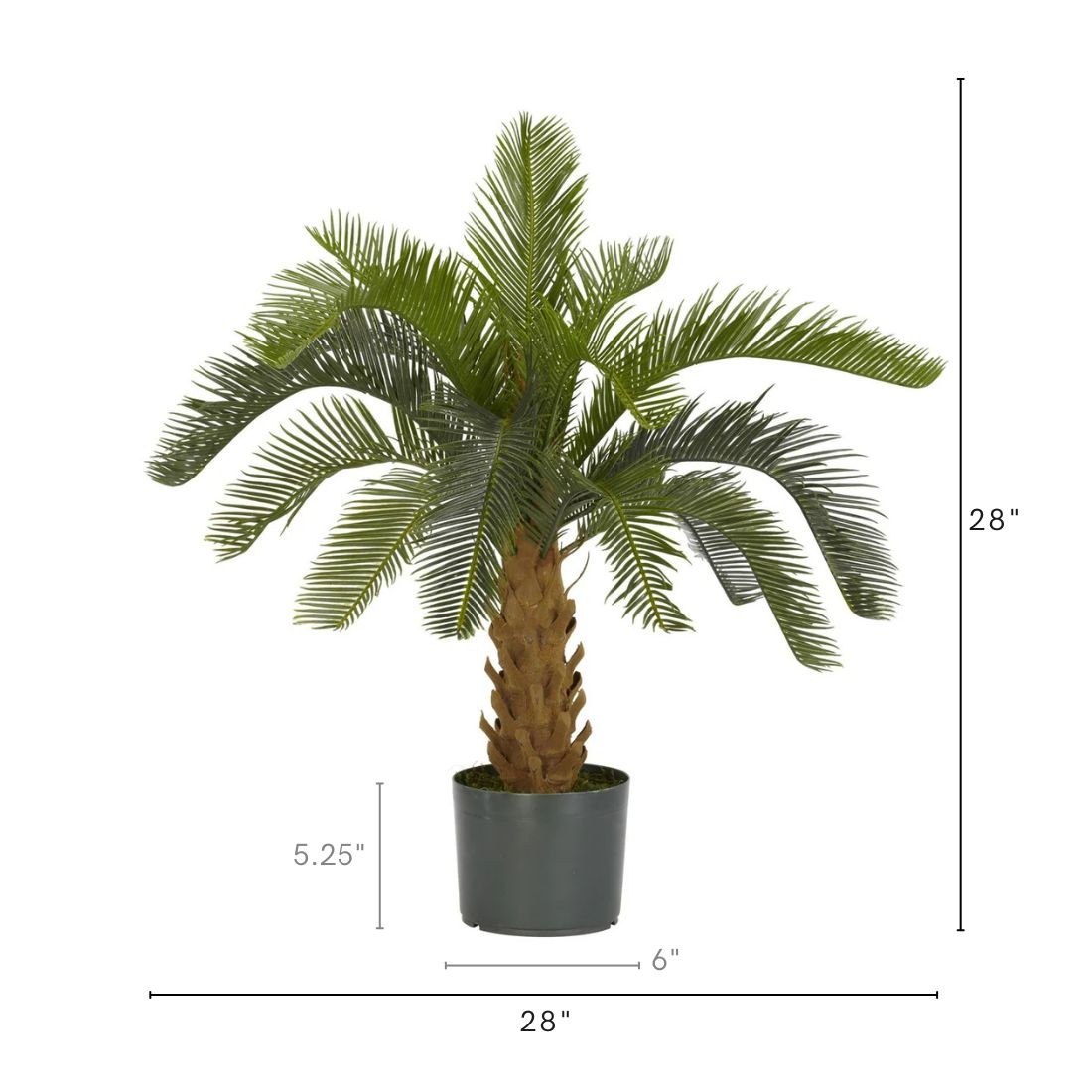 28″ Plastic Cycas (Foam Trunk) Tree w/16 Lvs