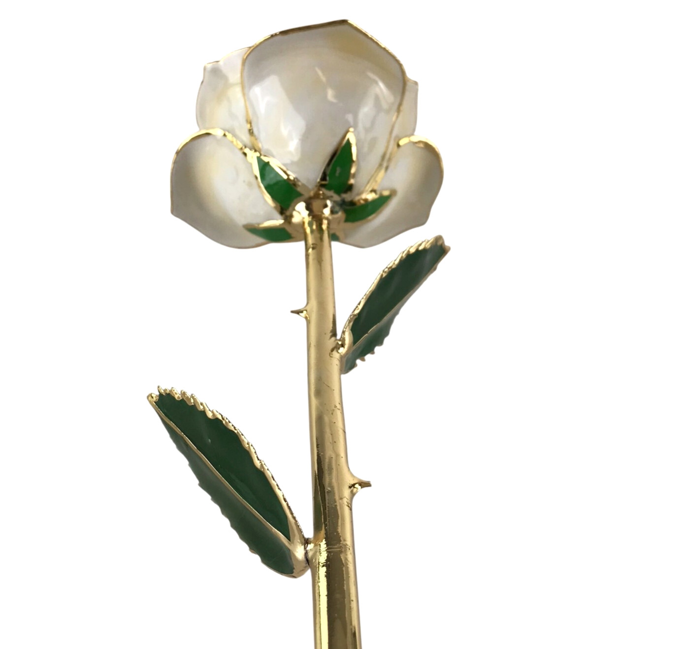 24K Gold Dipped White Rose Long Stem Forever Preserved Rose Flower Lacquered