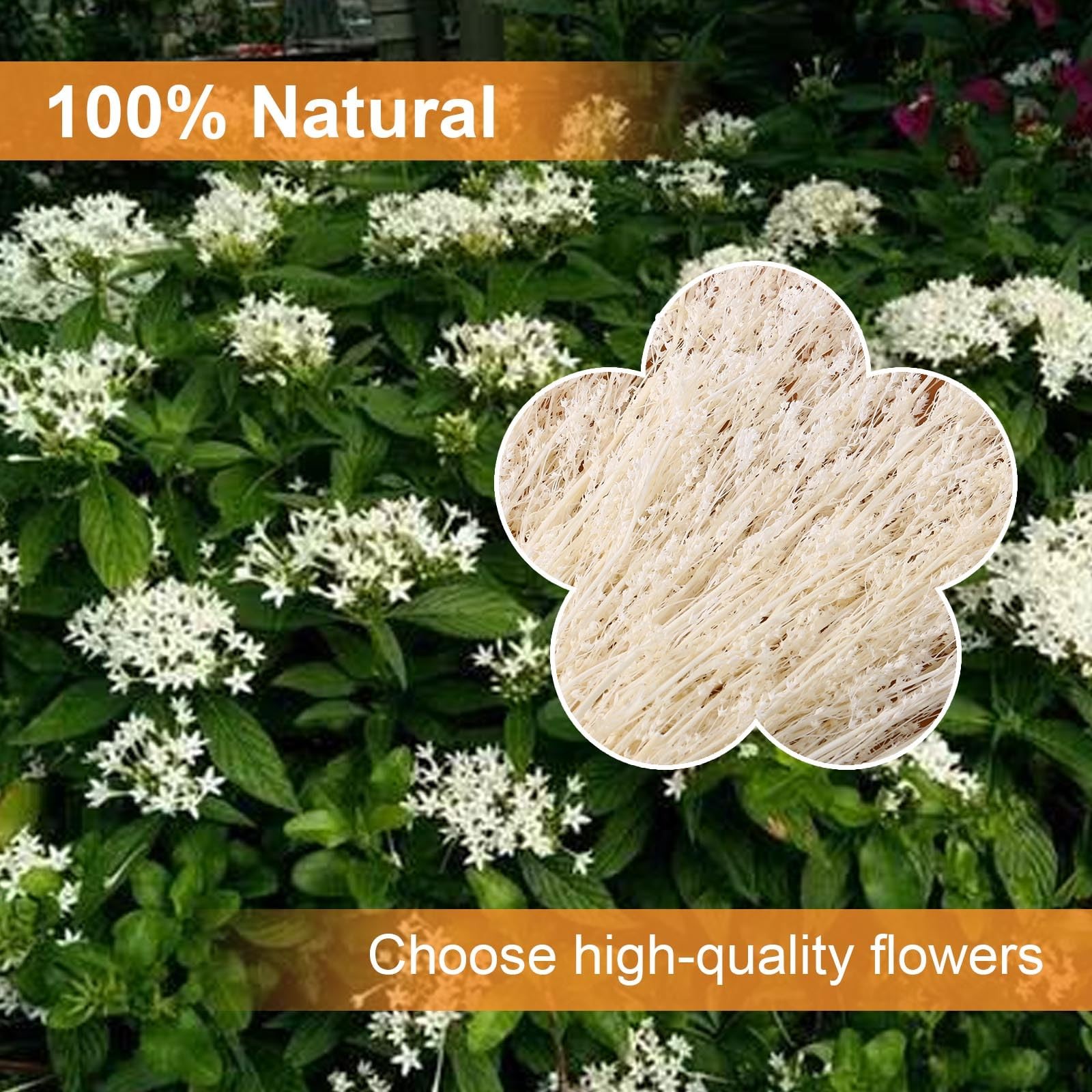 Dried Flowers Babys Breath Bouquet, – 17 Inch 3500+ Preserved Natural Flowers…