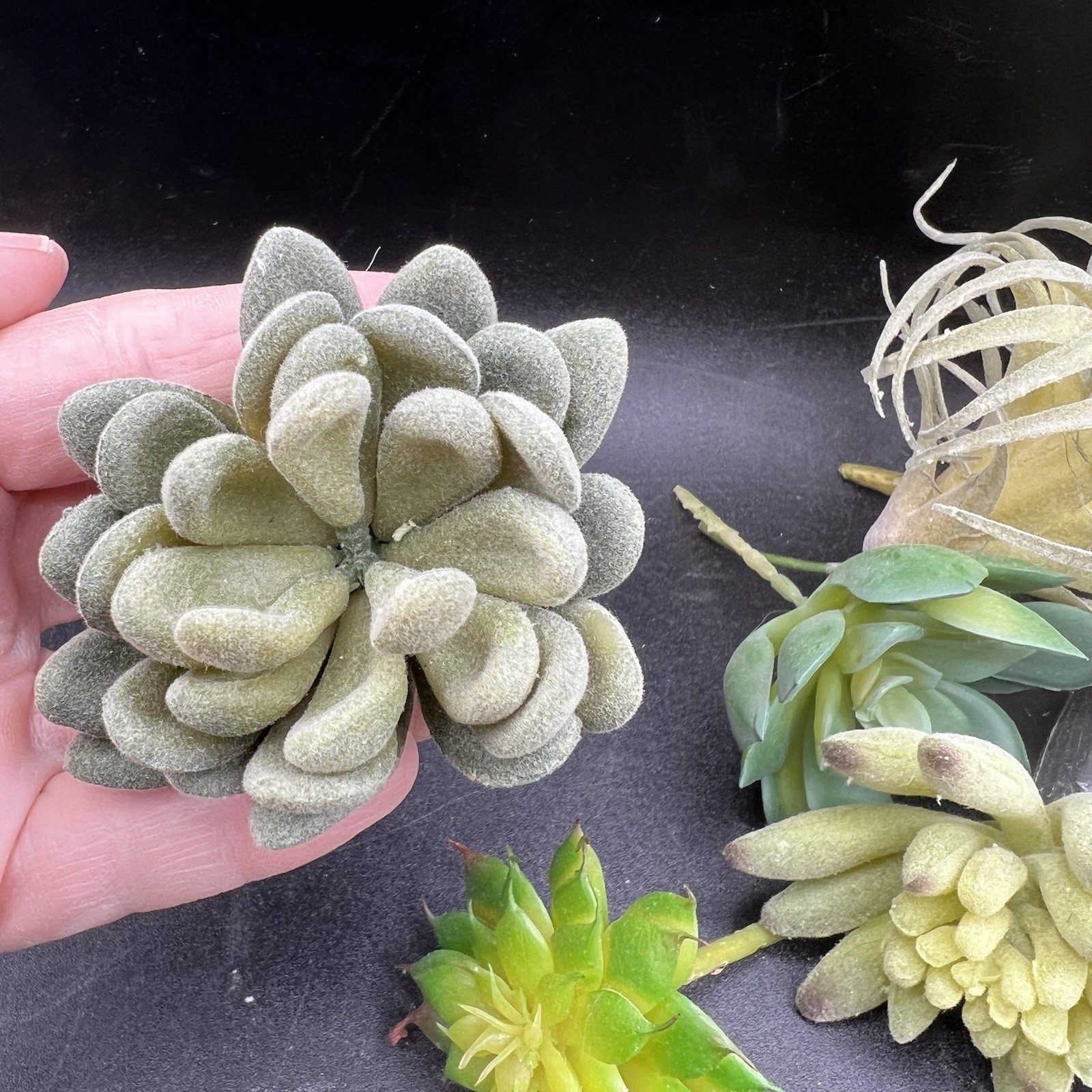 Artificial Succulent Plants Faux Assorted- 16 pc Unpotted Faux Succulent Plants