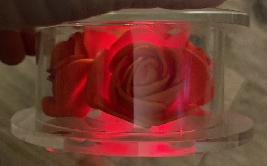 Lotus Flower On Pedestal Crystal Lights Up Changes Colors Spring Summer Beauty