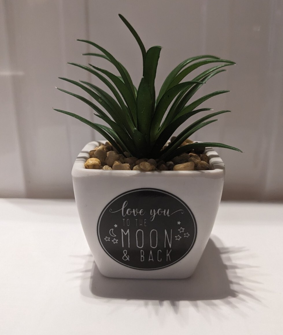Desk-Plant Trinket Keepsake w Message ‘Love You To Moon And Back’