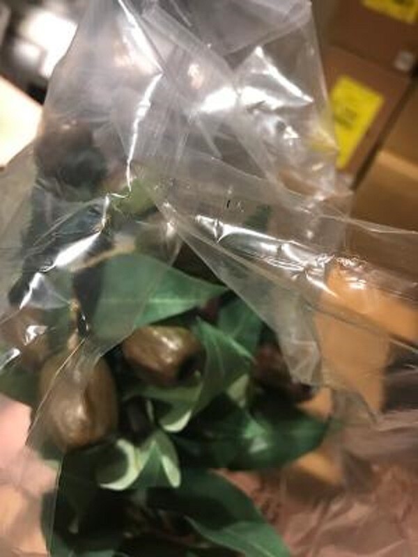 Pottery Barn Faux Budding Eucalyptus Stem Branch Set 4 Green 33H Flowers More+🦩