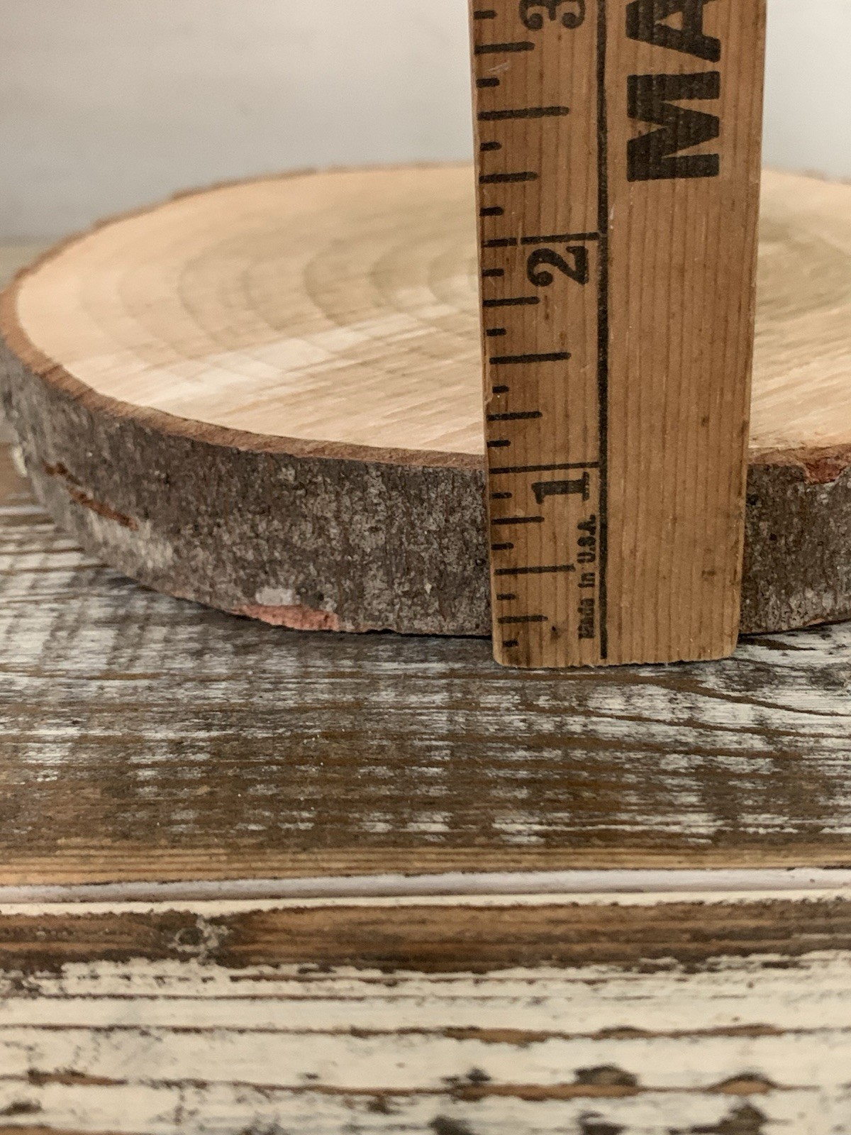 Rustic Style 2 Pc Cloche Set Rough Cut Tree Slab W/Glass Done 6.5” Tall