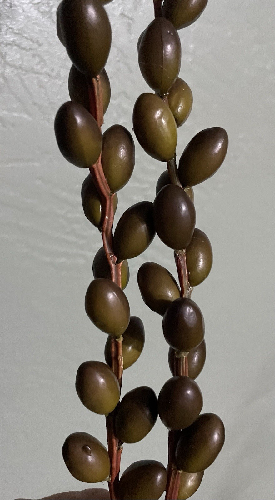 Artificial Olives Decor Twig & Stem Faux Branch Oval Pods Bundle Of 5