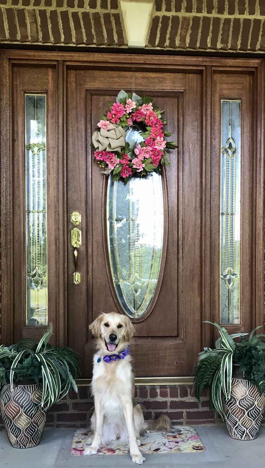 20” Pink Zinnia Wreath For Year Round Use free shipping
