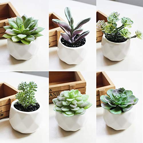 16 Pack Artificial Succulent Flocking Plants Unpotted Mini Fake Succulents