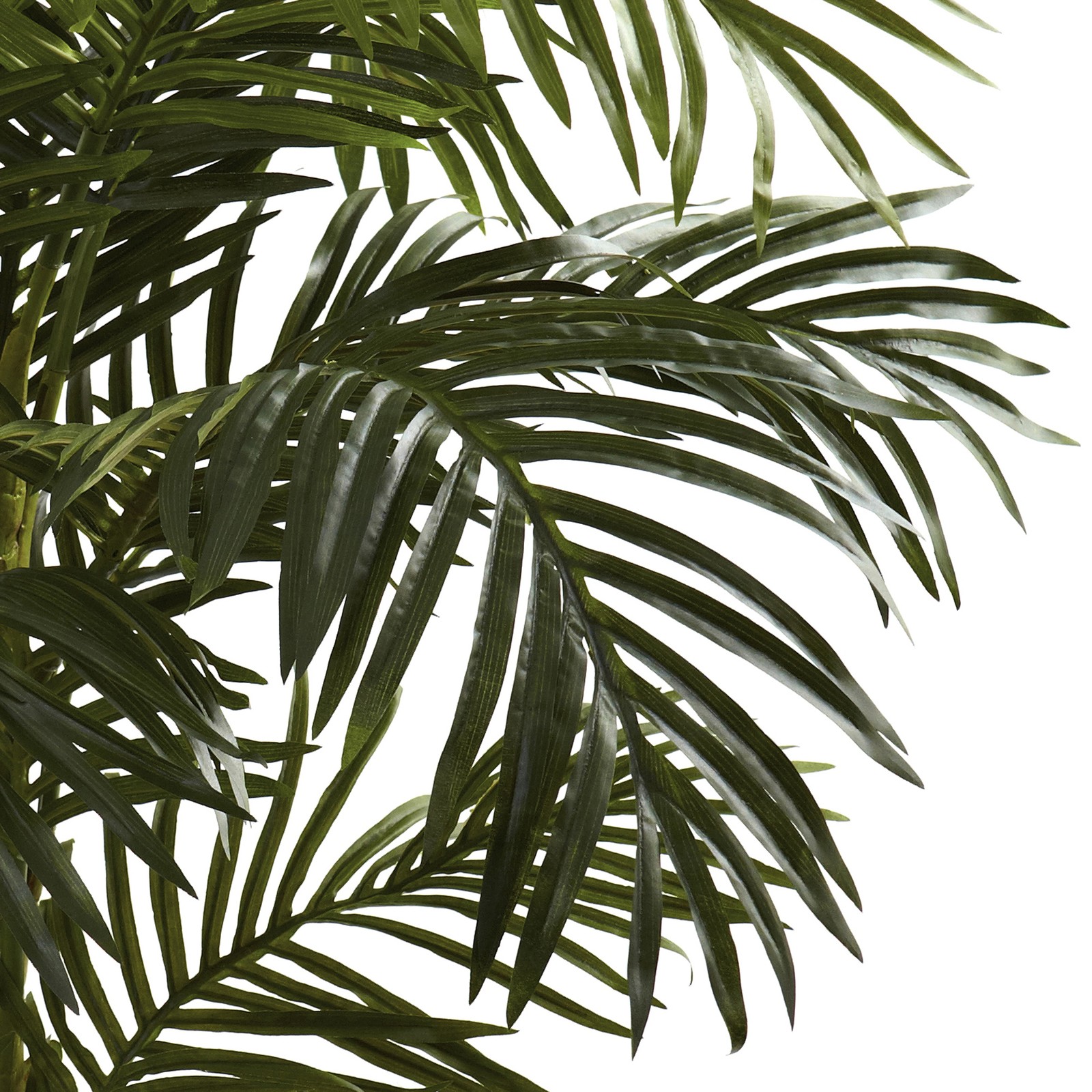 Nearly Natural 60″ Golden Cane Palm Tree with 2-Trunks and Leaves in Green/Black