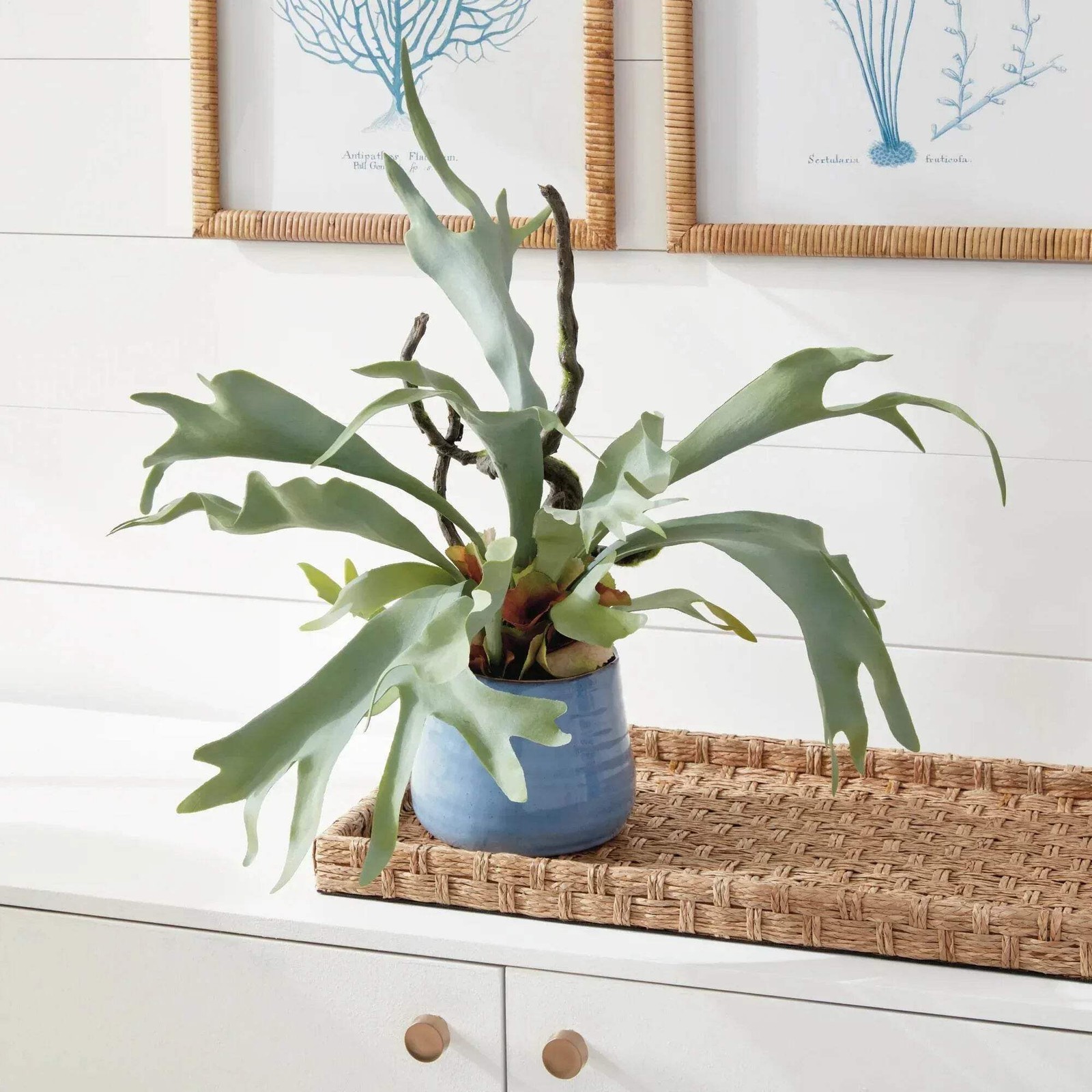 Staghorn Artificial Fern Drop-In 22″