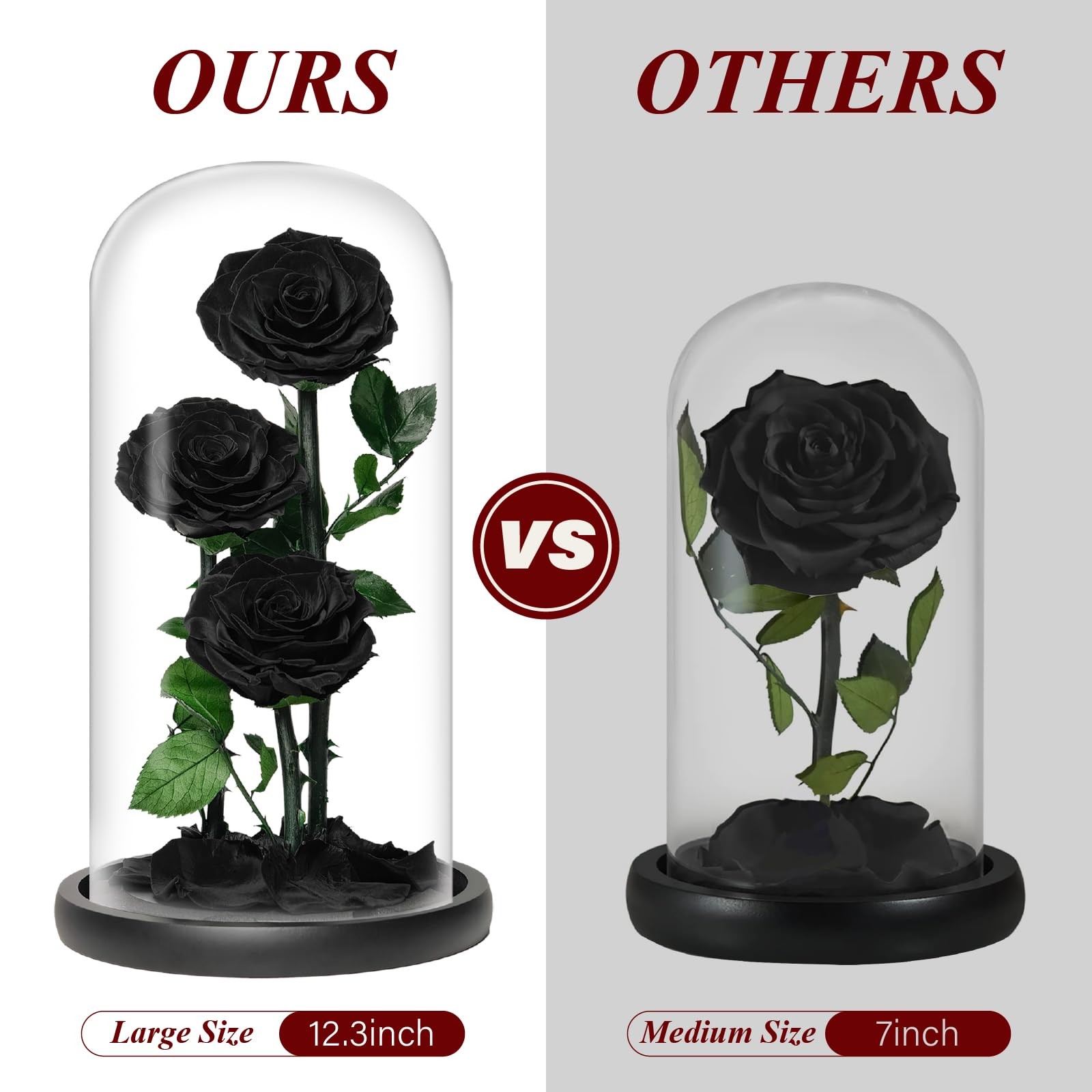 Cyrabota Preserved Roses Black Roses in Glass Dome, 12.3inch Forever Preserve…