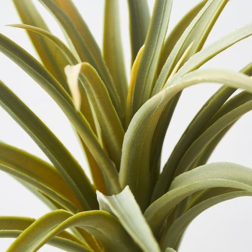 IKEA FEJKA Artificial Plant Set Of 3 Air Plant Selling 2 boxes as a bundle