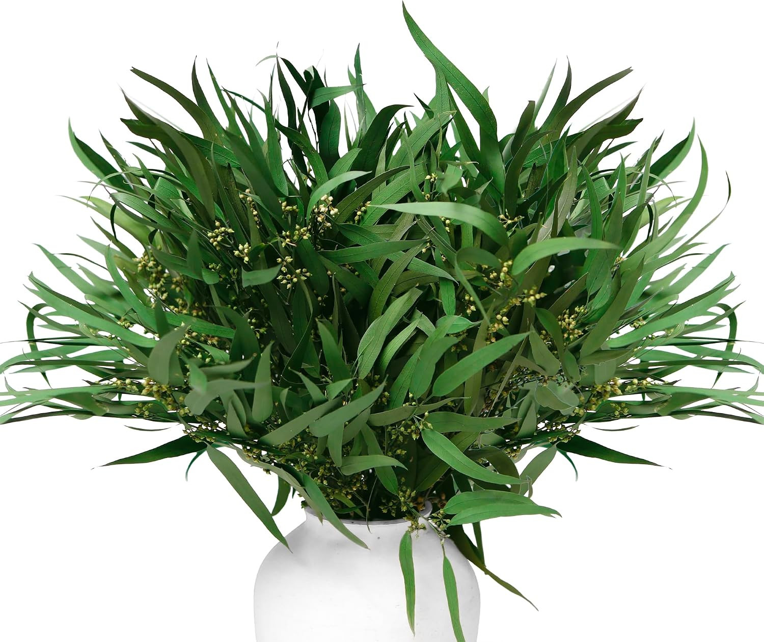 17” Real Dried Seeded Eucalyptus Stems, 100% Natural Greenery Branches | Preser