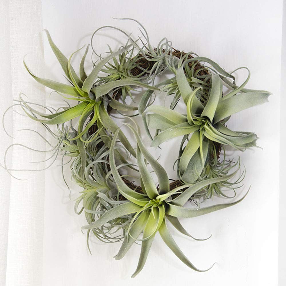 2 PCS 4# Artificial Flocking Tillandsia Air Plants Faux Succulents Decor