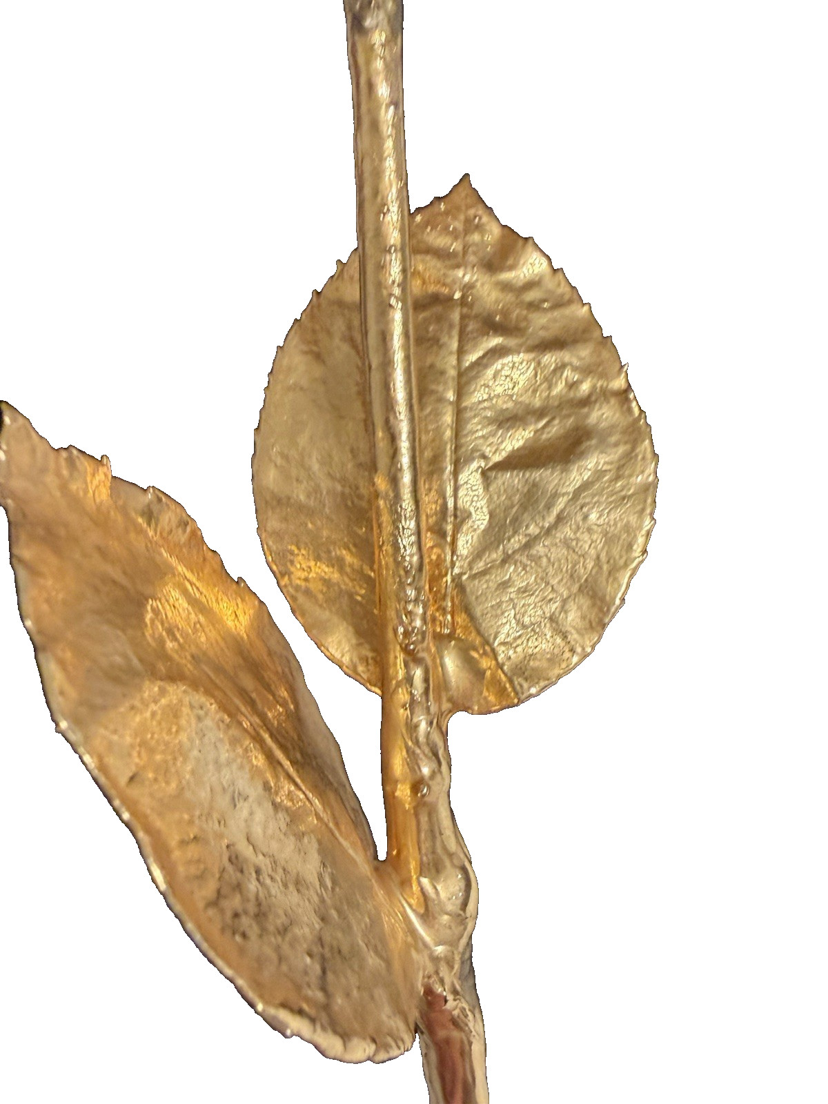 Real Natural Rose Flower Coated Preserved And Dipped In Gold
