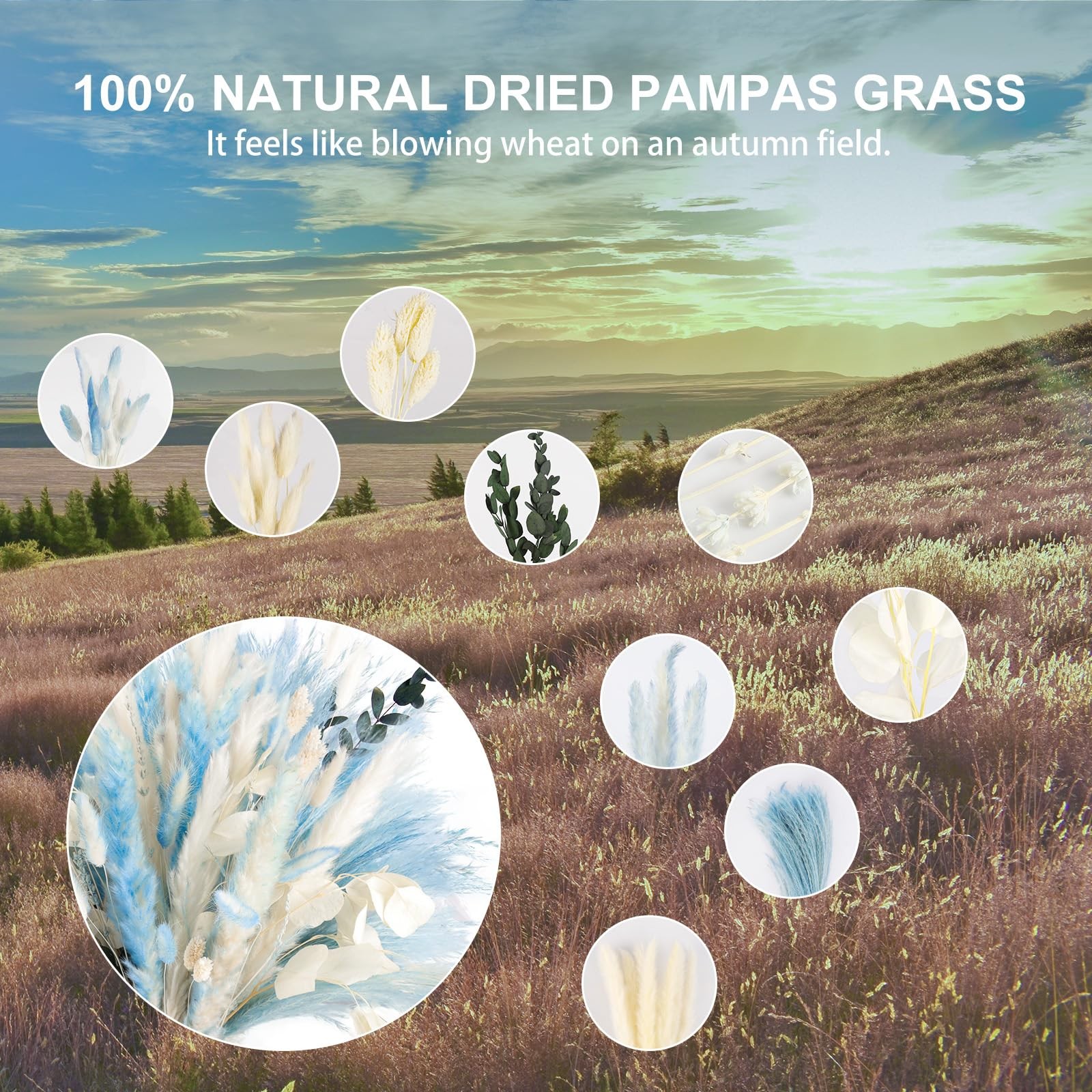 N&T NETING 101Pcs Blue Pampas Grass Decor Natural Dried Floral Pampas Grass L…