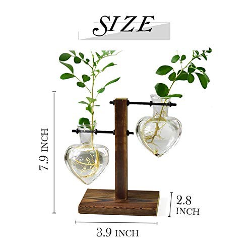 Plant Terrarium Wooden Stand, Hydroponic Planter Bulb Glass Metal Swivel