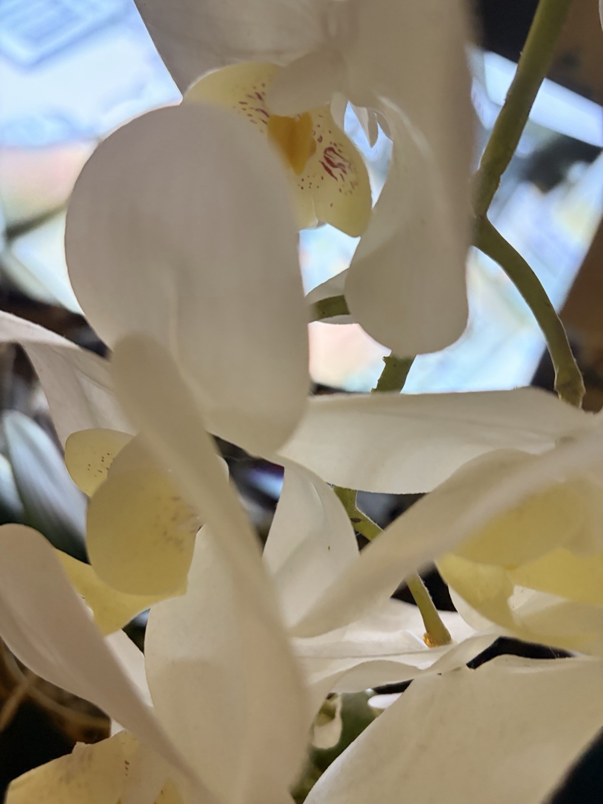 Artificial Orchid Flower Potted, 24″ White Orchid in Gold Pot Faux Plant