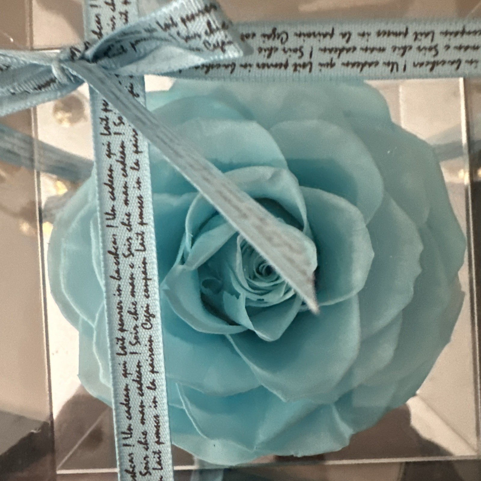 Eternal Rose Gift for Women, Preserved Real Forever Rose Flowers in Clear Case