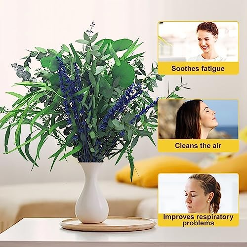 Eucalyptus & Lavender Shower Bundle 17″ Natural Preserved Decor 2026