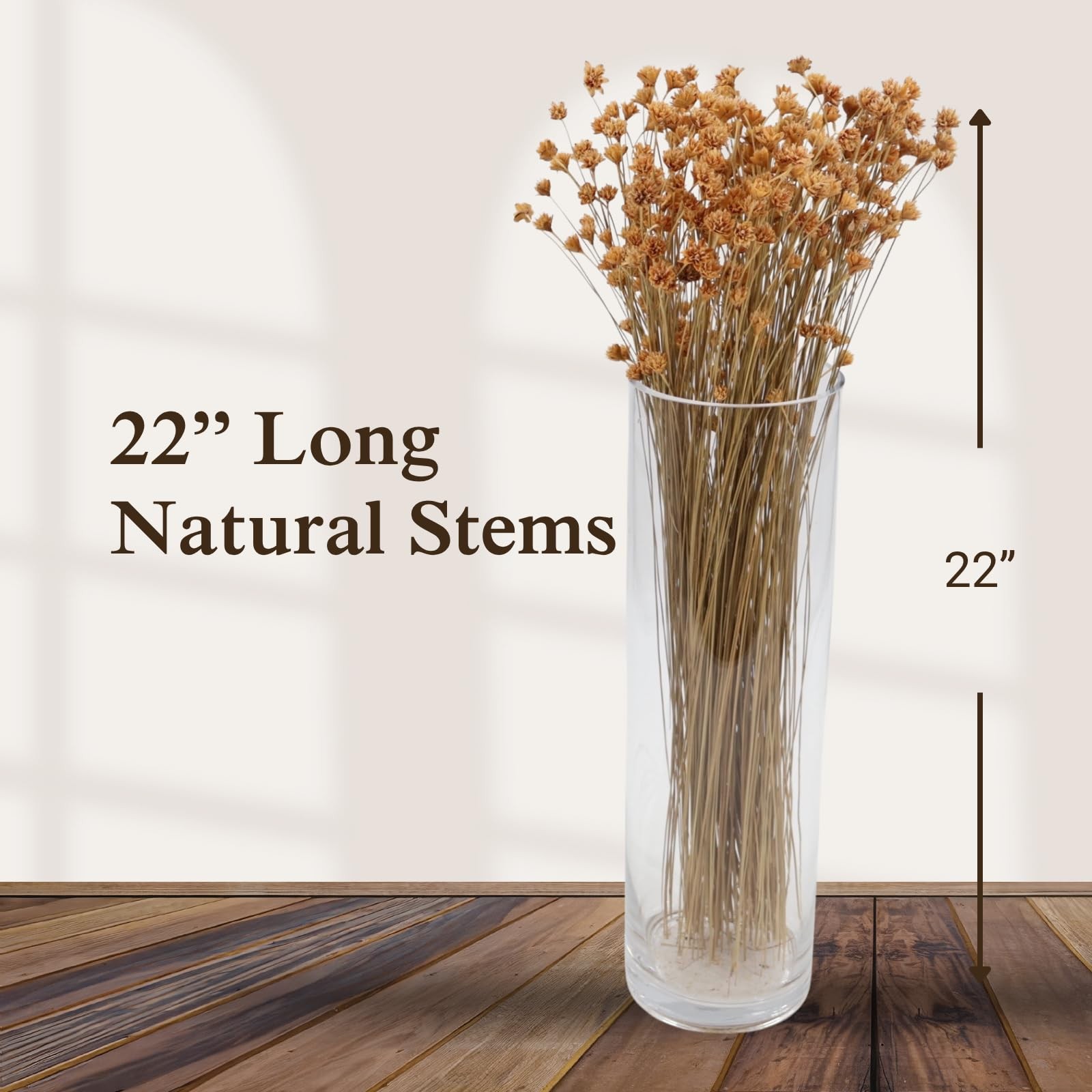 Hill Flowers (Natural) – Preserved Dried Flowers for Floral Arrangements, Wed…