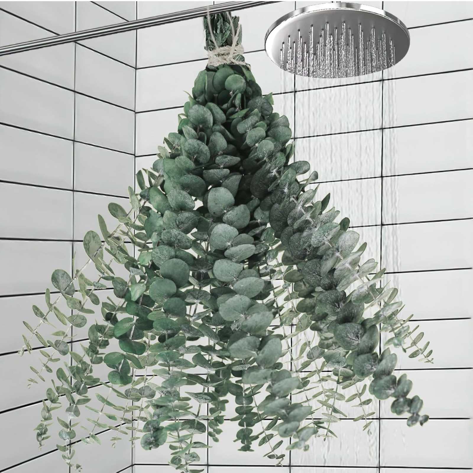 11 PCS Real Dried Eucalyptus Stem for Shower & Bathroom Decor 17” Large Natural