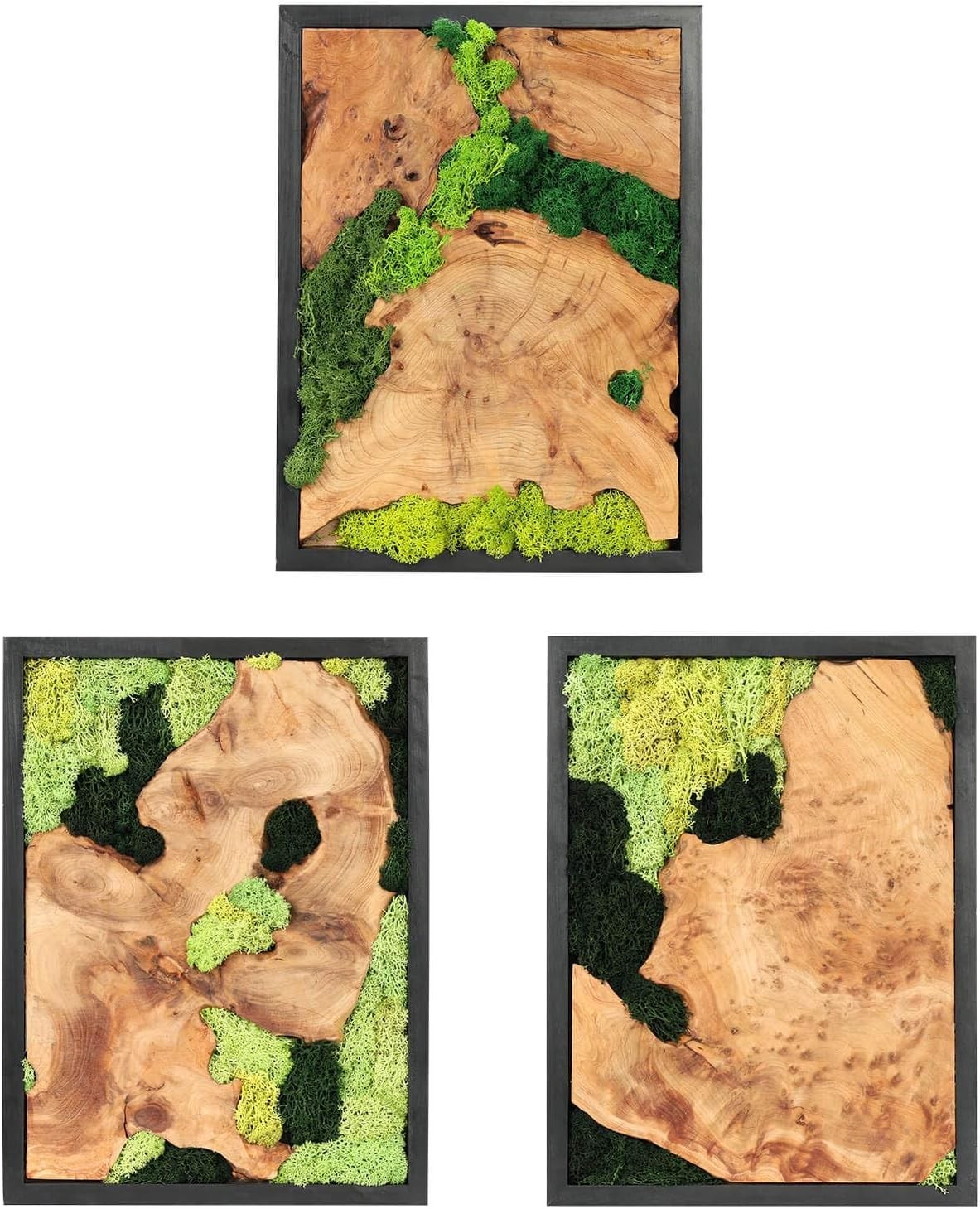 Natural Preserved Moss Wall Art – Natural moss&wood Handcrafted Rustic Charm for