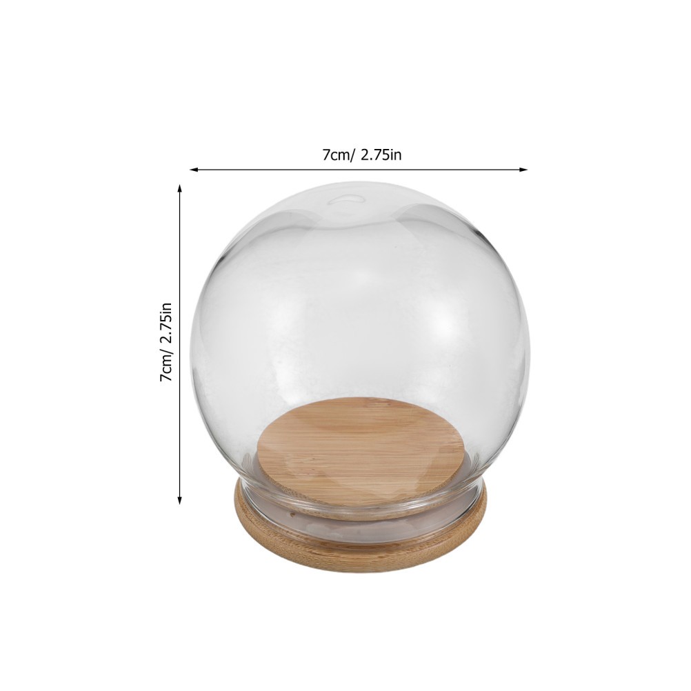 2Pcs Transparent Glass Dome Cloche Display for DIY Flowers and Figurines