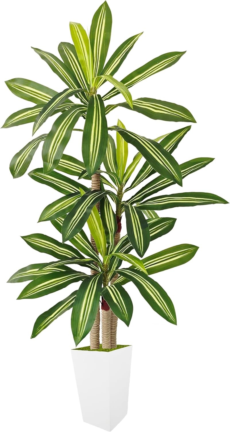 Artificial Dracaena Tree 5ft, Fake Plant with White Tall Planter, Faux Yucca
