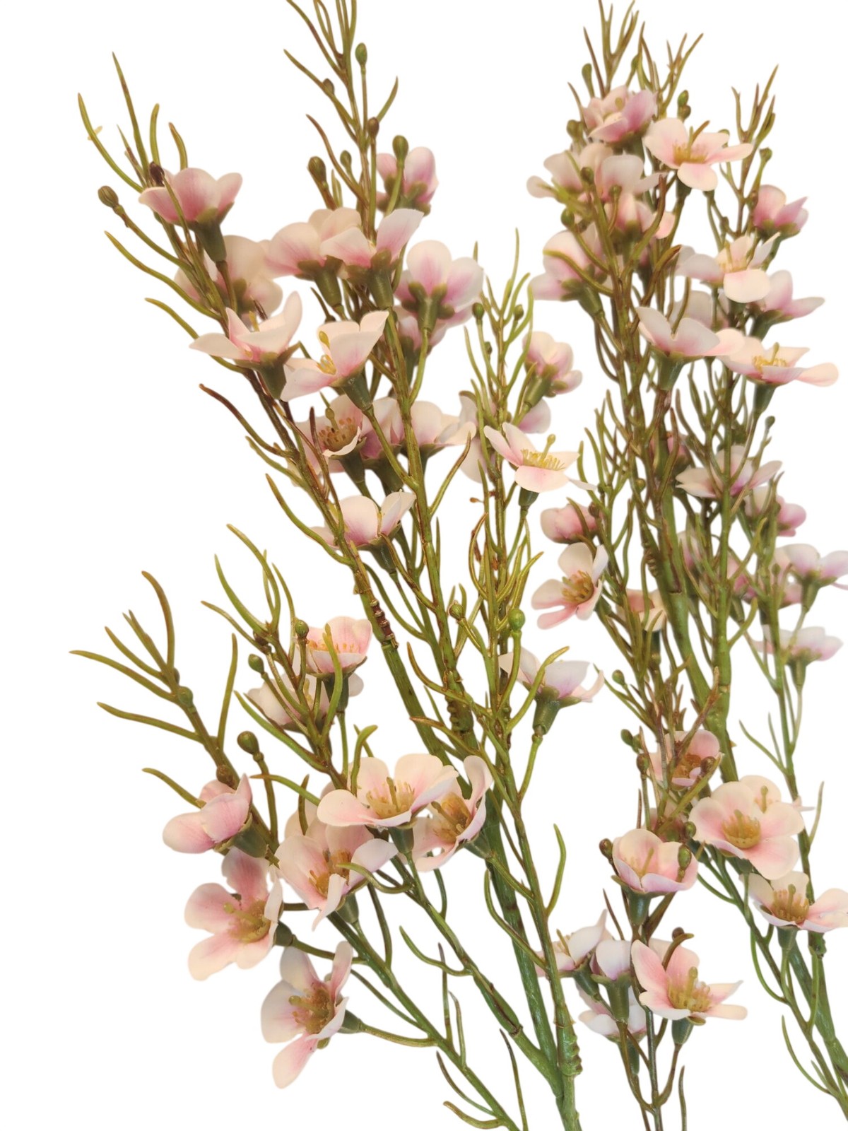 Blush Pink Dogwood Stems Two Tone Wax Flower Faux Floral Pink White Tips Wedding