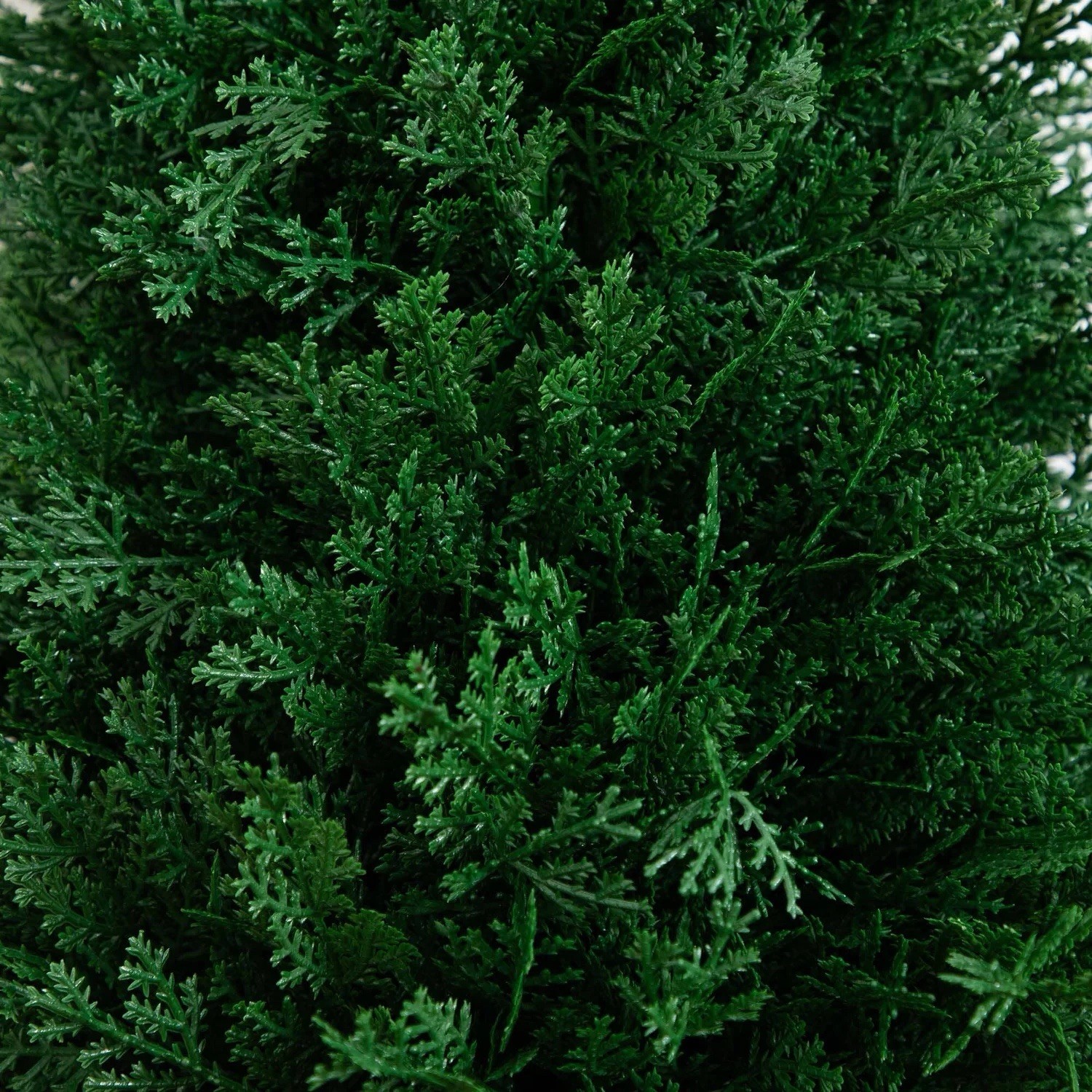 3′ Artificial Cedar Plant with Integrated Ground Stake UV Resistant Set of 2.