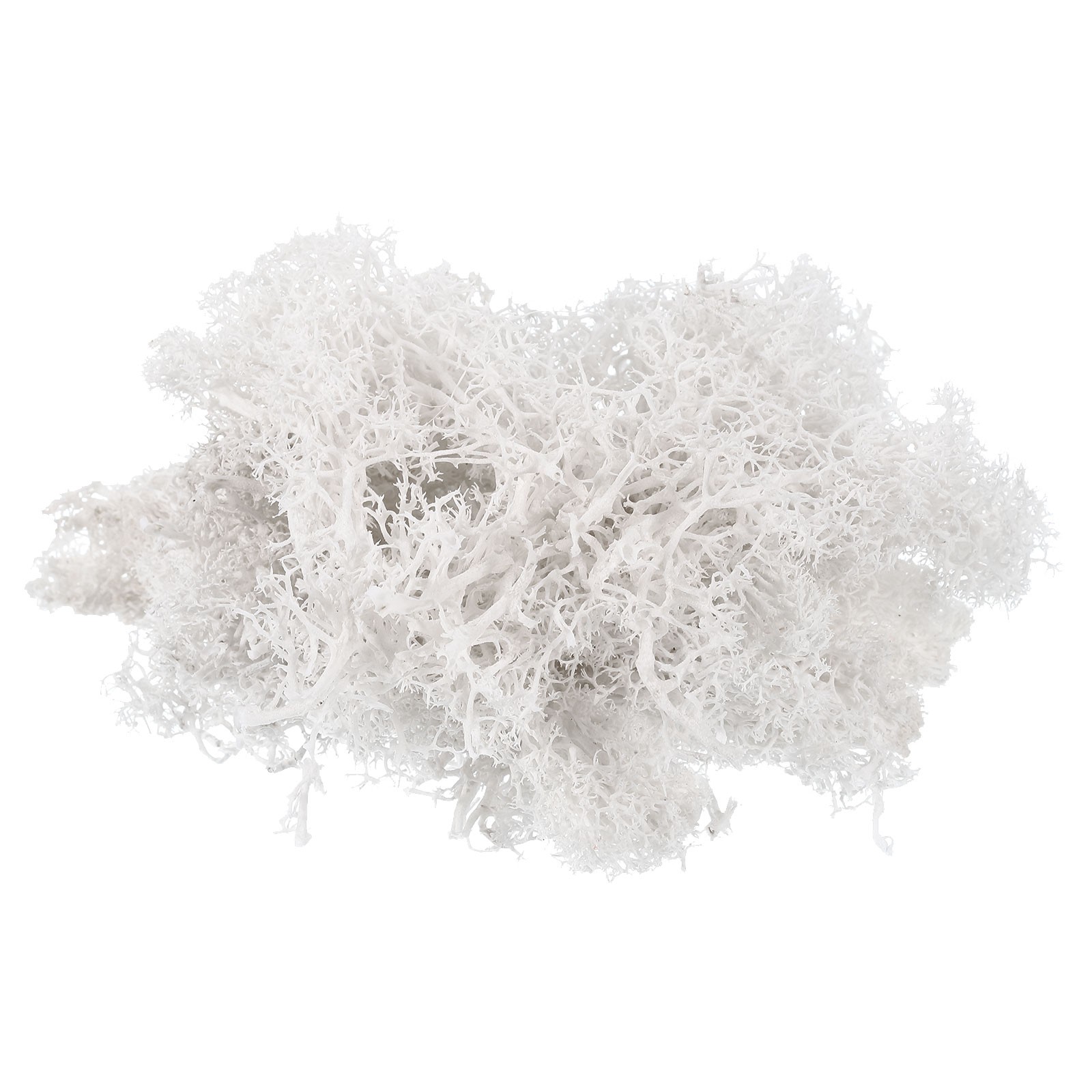 7 OZ Fake Moss Preserved Decorative Moss with Box for Potted Plants White