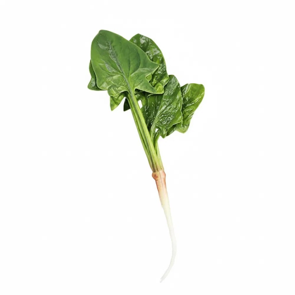 Decorative Spinach Piece for Spring Summer Fall Winter Interior Accents