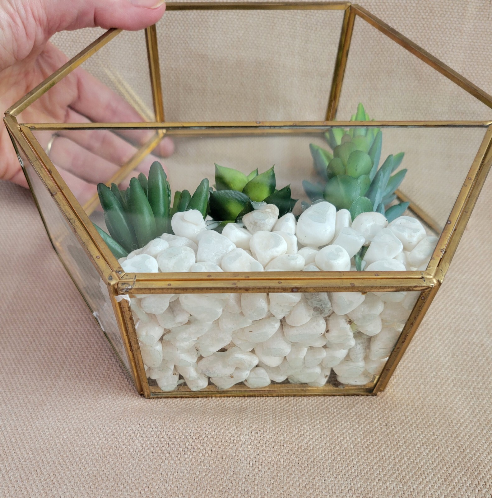 Plant Terrarium Geometric Gold Edge Planter Artificial Succulent Open Side Glass