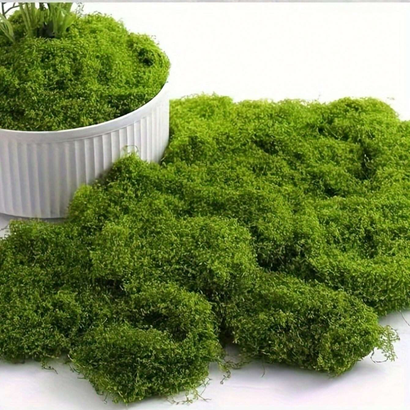 Artificial Moss Fake Green Plant Simulation Grass Centerpiece Decor For DIYCraft