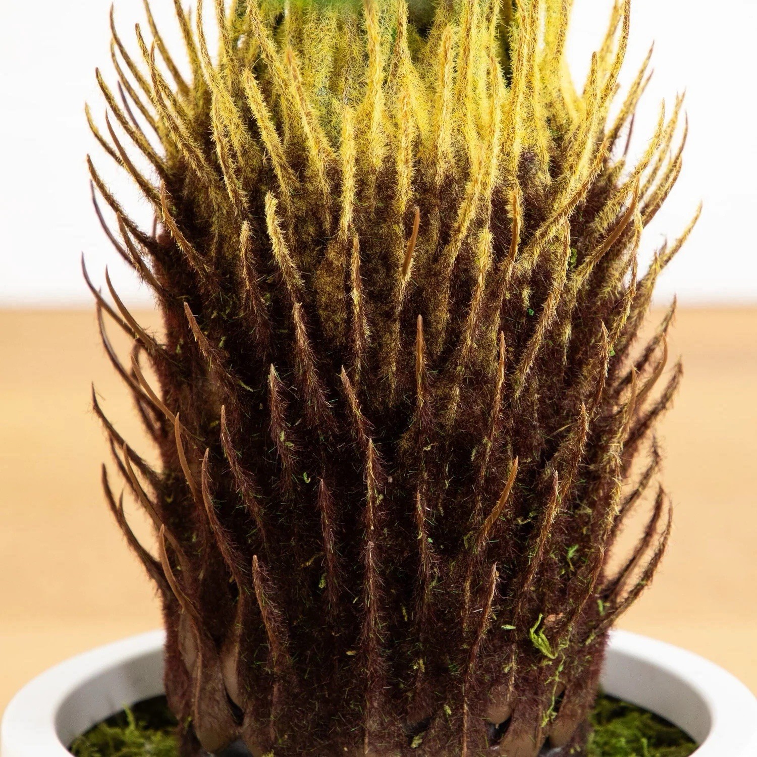 30″ UV Resistant Artificial Cycas Palm Tree in White Planter. Retail $134