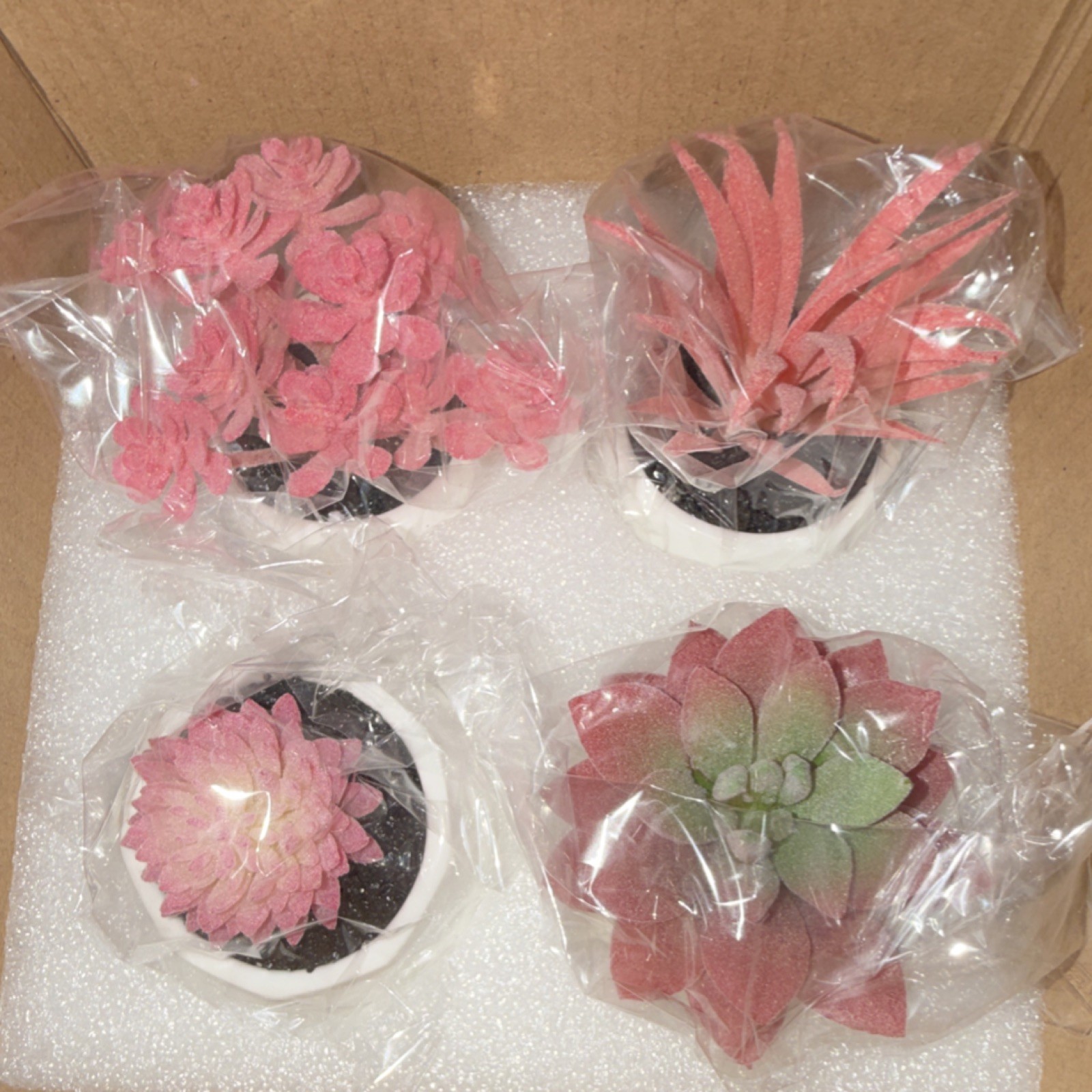 CADNLY Artificial Succulent Arrangement Set of 4 Pink Green Plants in White Pots