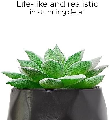 Nordik Set of 4 Desk Plants – Geometric Round Black Pots – Perfect for Bathroom,