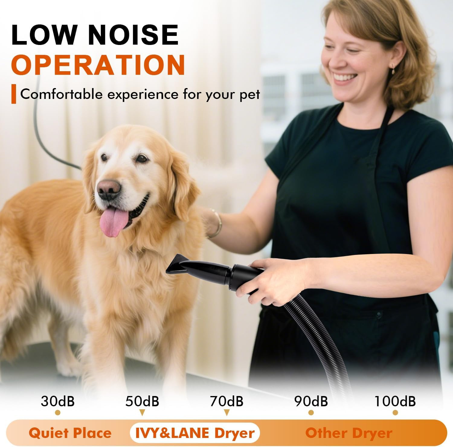High Velocity Dog Hair Dryer with 4 Nozzles, Adjustable Speed & Temp Control