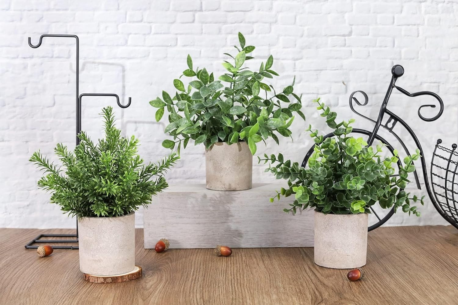 3 Pack Mini Potted Eucalyptus Plants – Lifelike Greenery for Home & Office