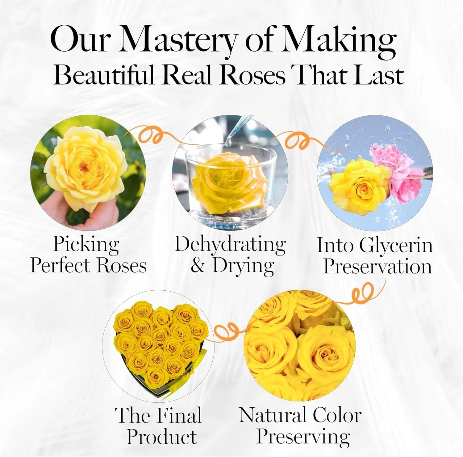 Beautiful 16 Yellow Eternal Roses Heart Box – Mom Anniversary Birthday Gift