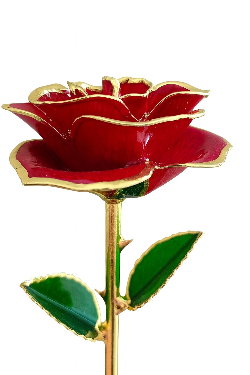 24K Plated Gold Dipped Rose Forever Preserved Red Rose Flower
