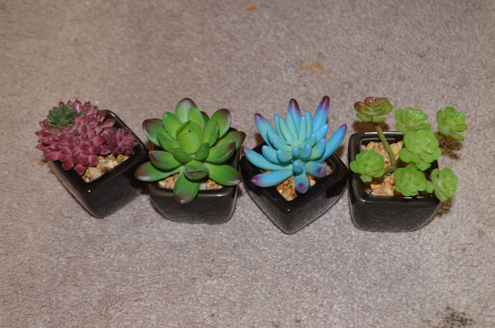 Small Artificial Succulents Black Ceramic Pots 4 PCS