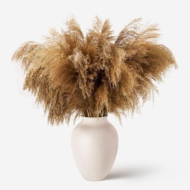 50 PCS Dried Pampas Grass Natural Dried Reed flower Bunch wedding Bouquets Home