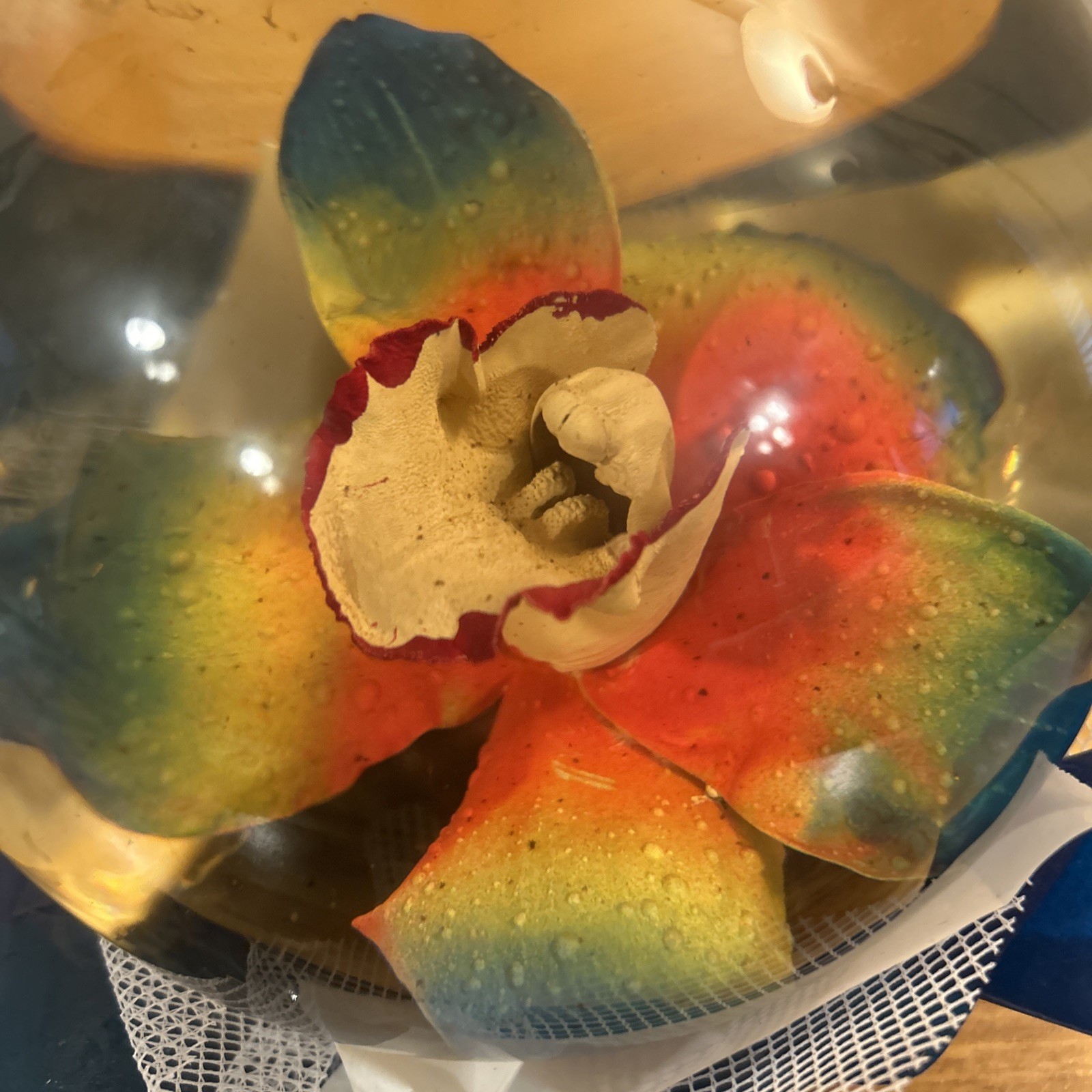 Bill Doran multicolored 6” Orchid flower glass paperweight