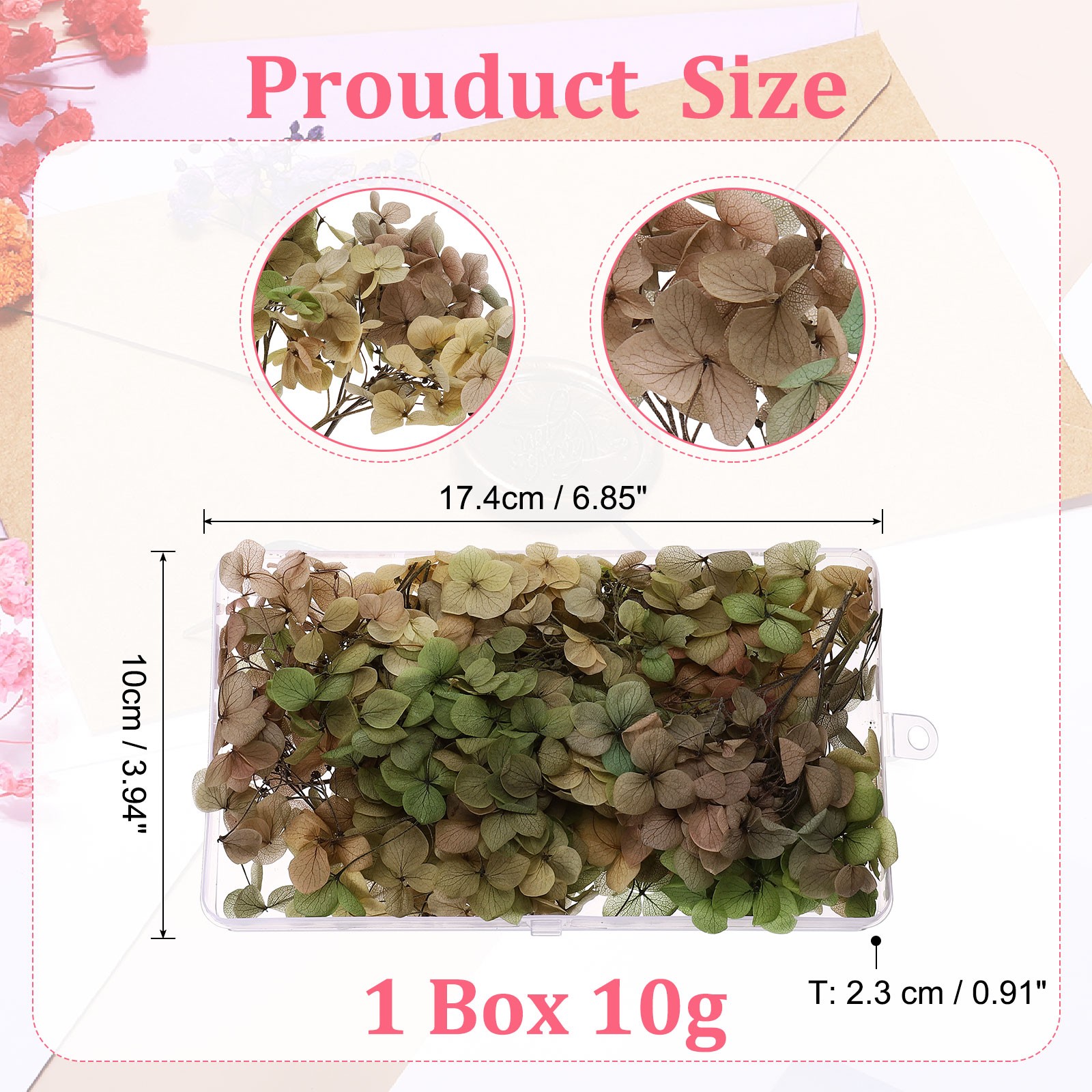 10g Mini Dried Hydrangea Flower Natural Pressed Flower Gradient Light Green Pink