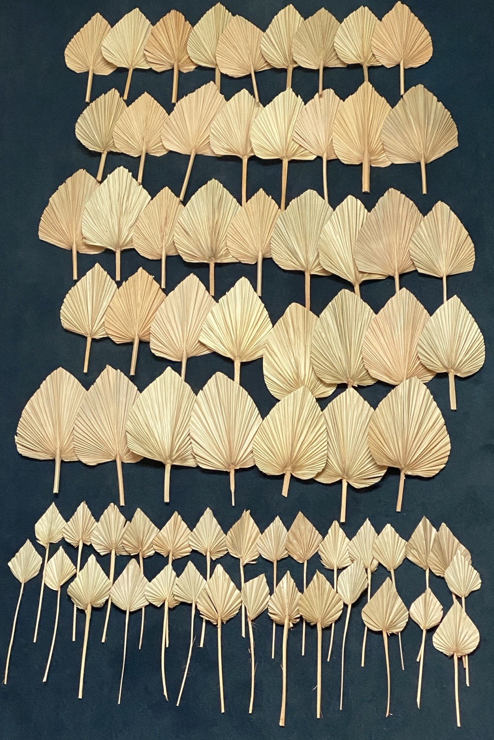 Lot Of 72 Dry Palm Leaves Natural Home Wedding Decor Boho, 42 Large, 30 Small